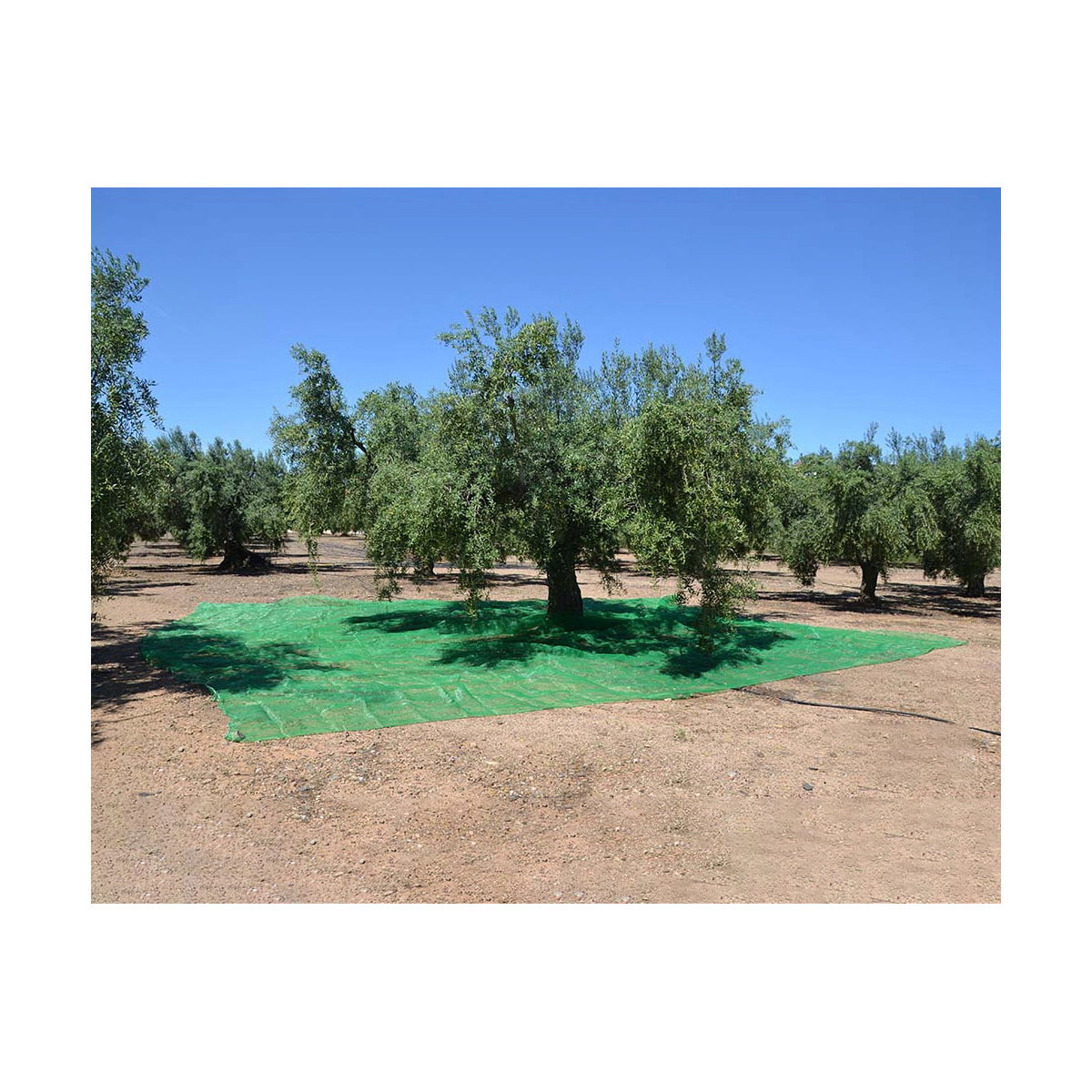 Lona de Proteção Verde Polipropileno (5 x 8 m)